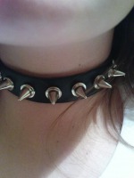 obroża 1-rzędowa SPIKE obroża 1-rzędowa SPIKE