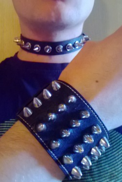 obroża 1-rzędowa SPIKE obroża 1-rzędowa SPIKE