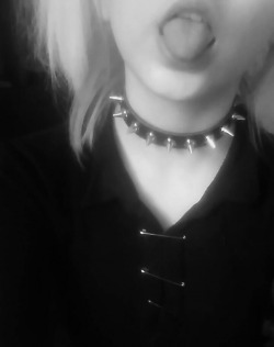 obroża 1-rzędowa SPIKE obroża 1-rzędowa SPIKE