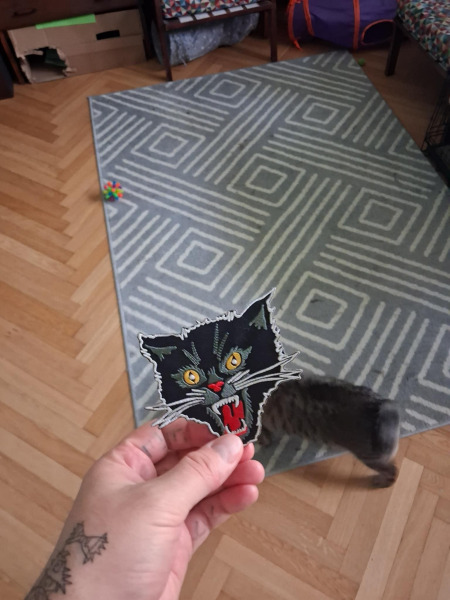 naszywka termiczna CAT